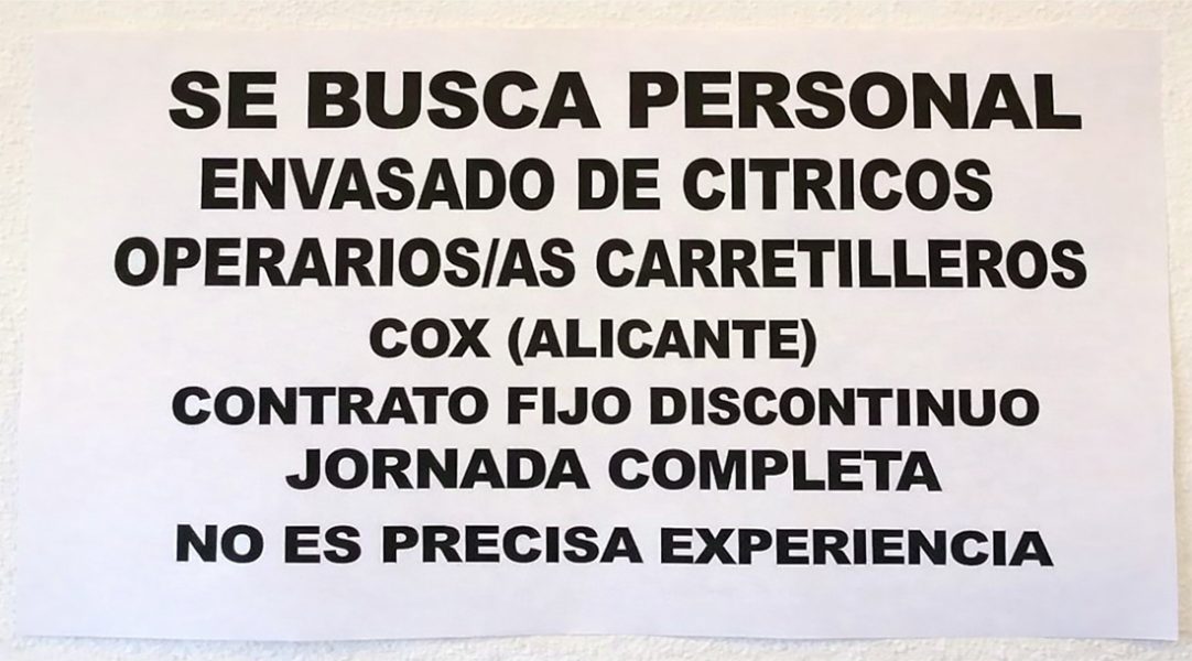 Se busca personal para envasado de cítricos y carretilleros en Cox: contrato fijo discontinuo y jornada completa